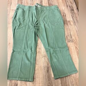 Isaac Mizrahi Live Green Stretch Pants | Women’s 30W Petite
